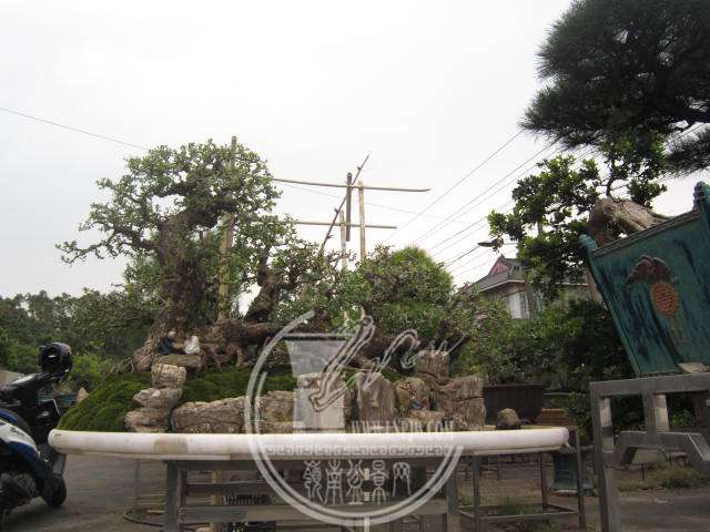 IMG_6750.JPG