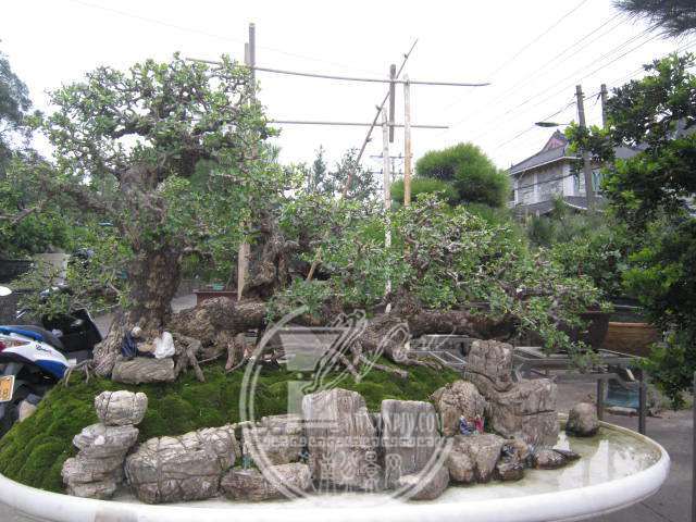 IMG_6751.JPG