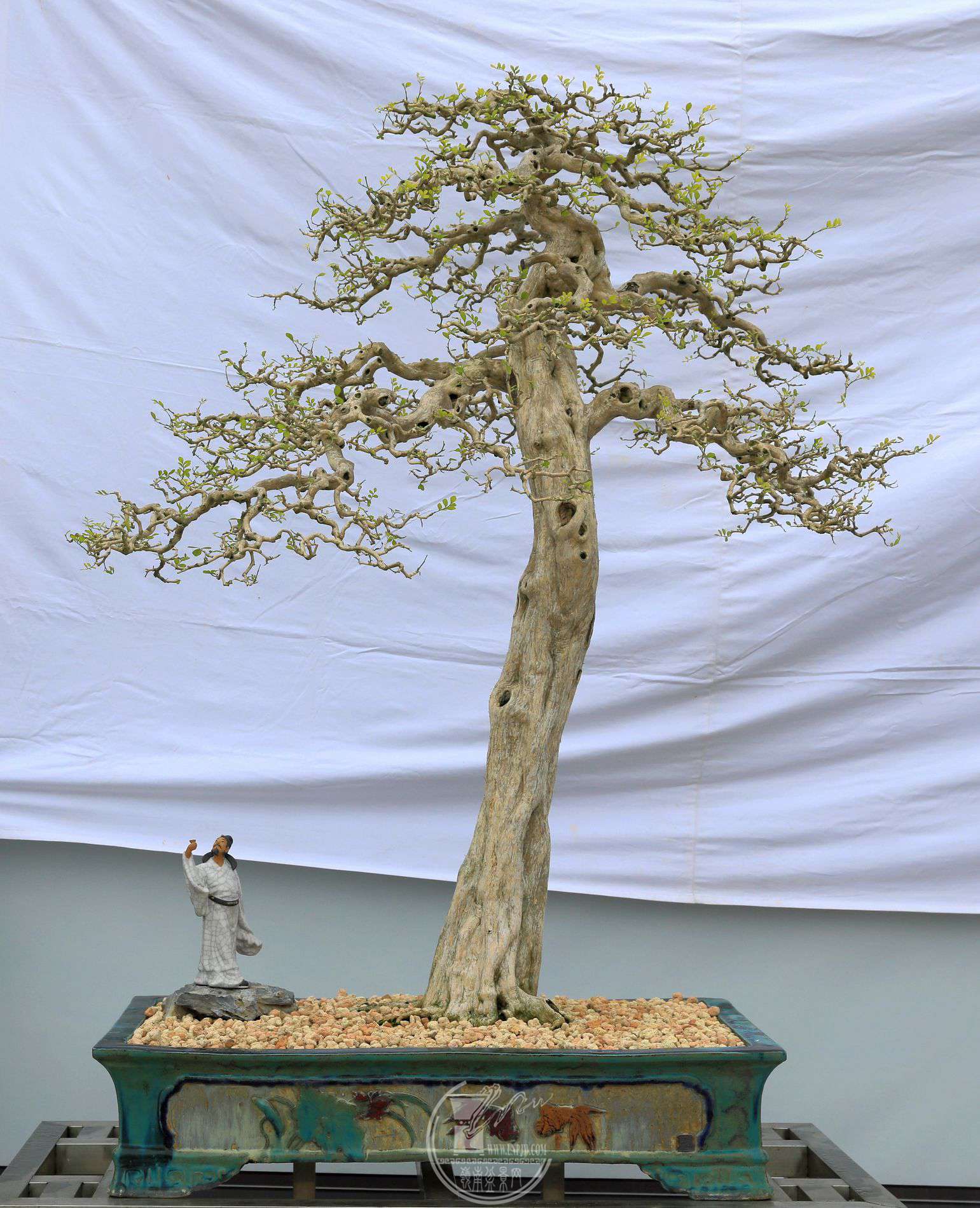 1625               ع㸳´     15510060     Э   .jpg