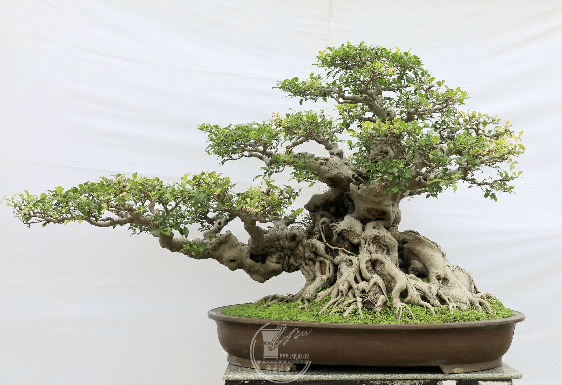 26117                    110cm 賤90cm   60cm   .jpg