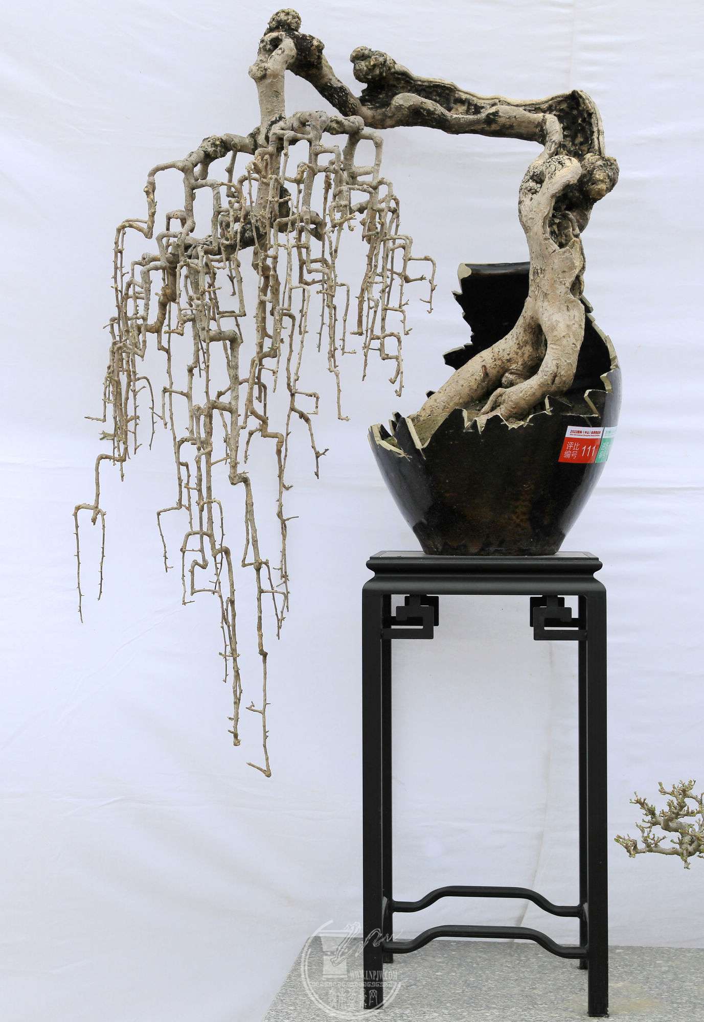 34111          ÷          110  賤35  ڷ70     Э   .jpg