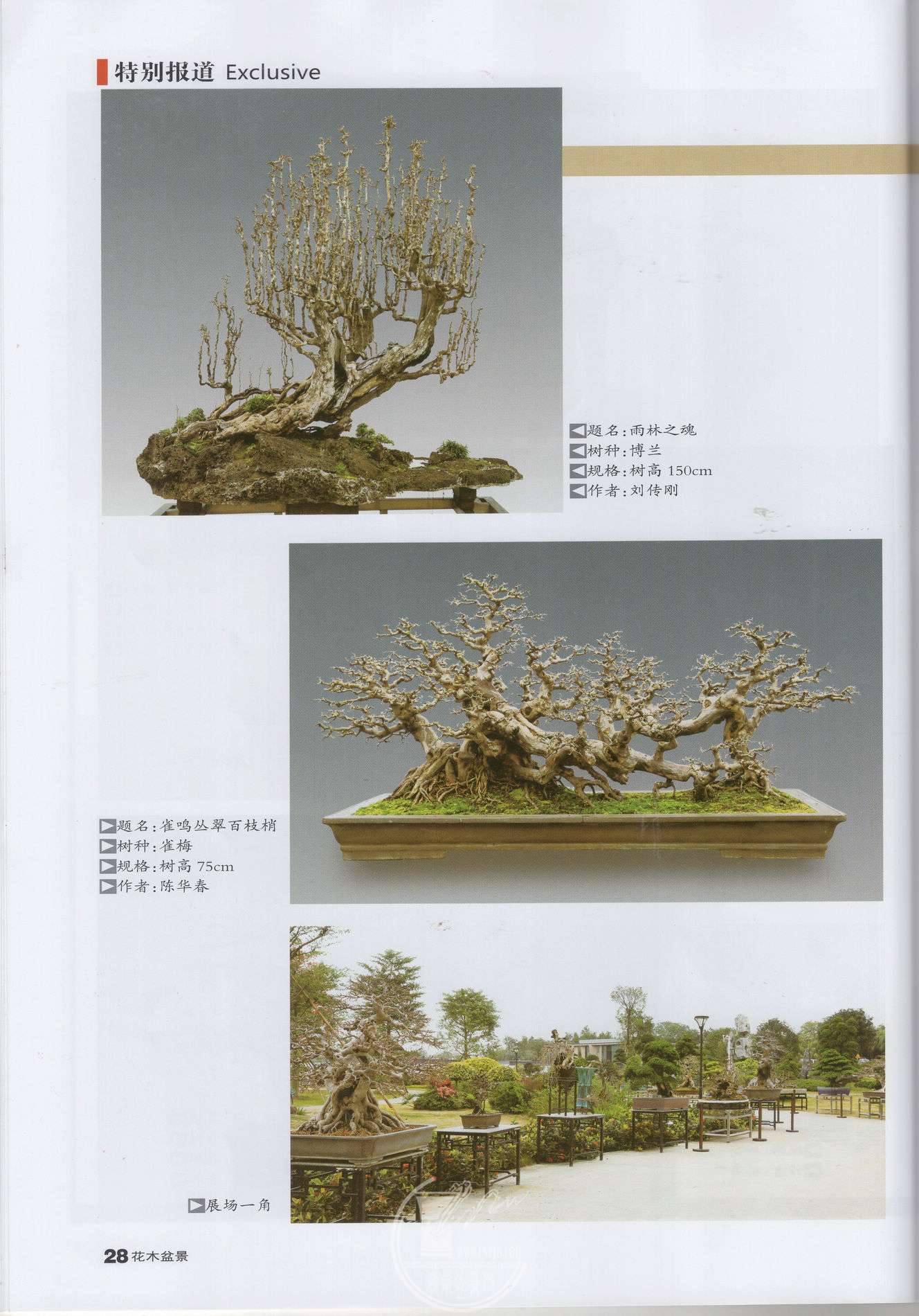 img042.jpg