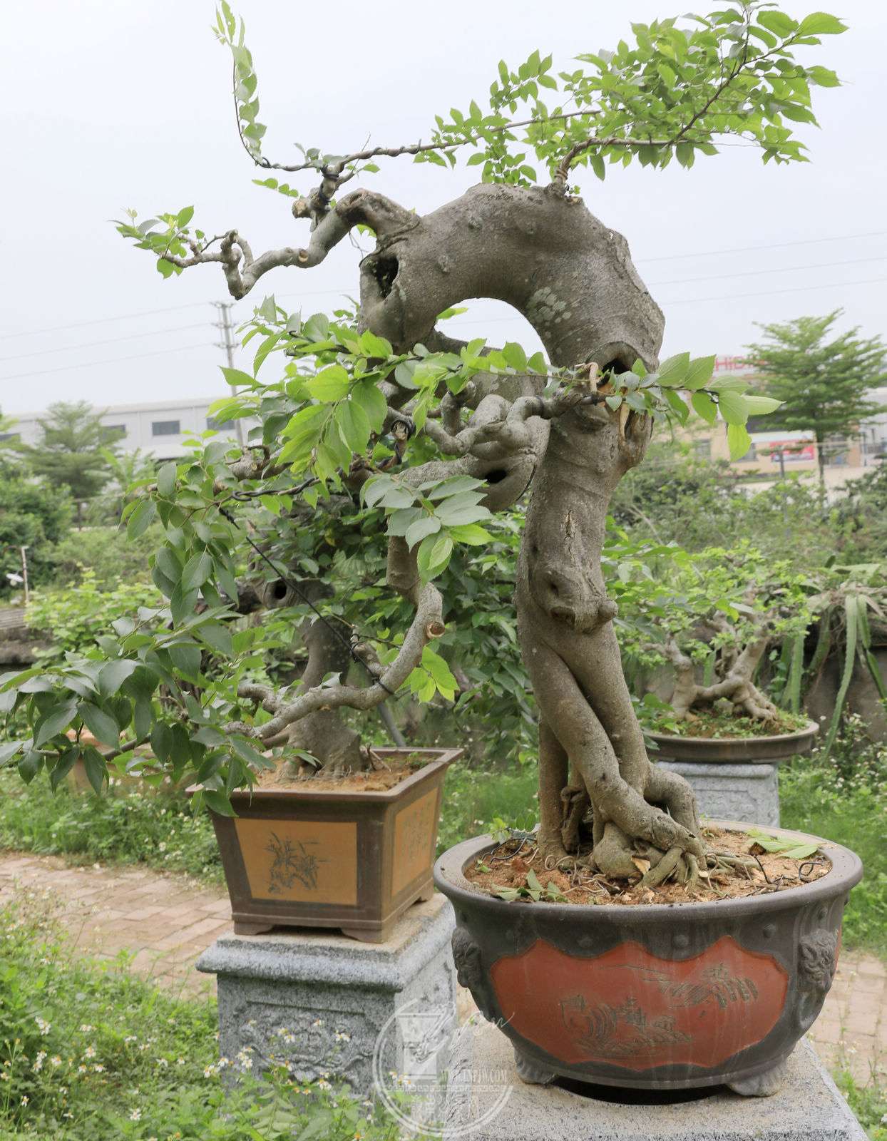 16BG1A4122.jpg
