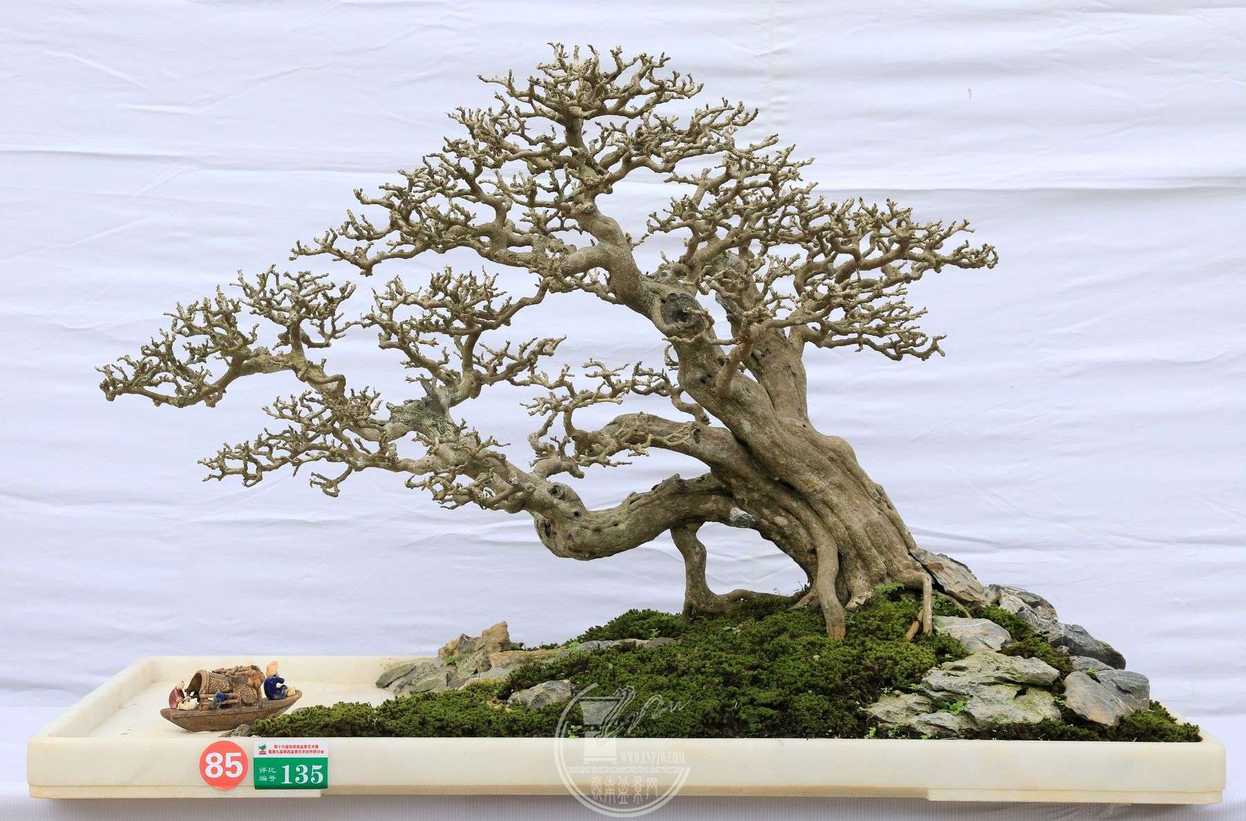 20135                        ۳        BG1A5049.jpg
