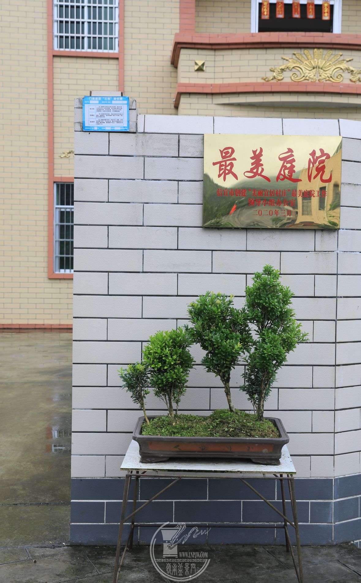 4BG1A5527.jpg
