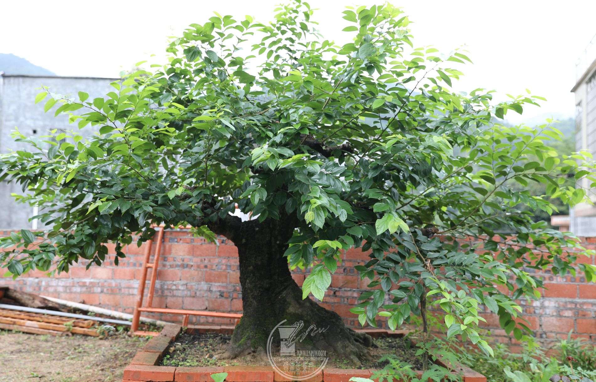 20BG1A5532.jpg
