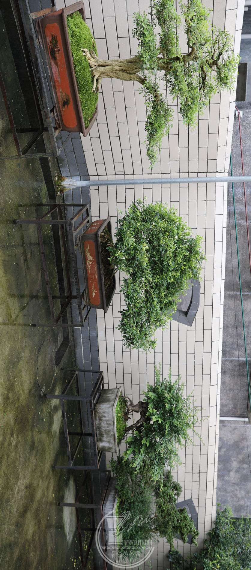 6BG1A5538.jpg