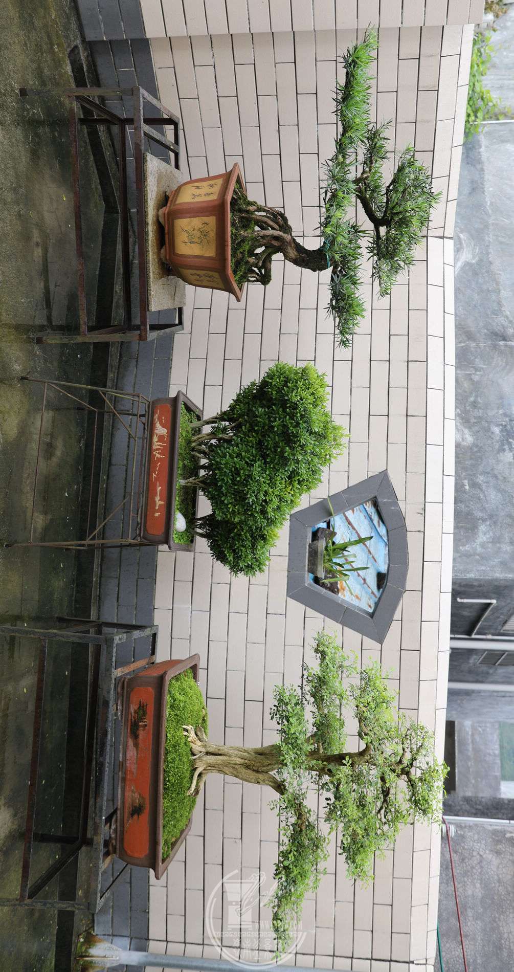 7BG1A5539.jpg