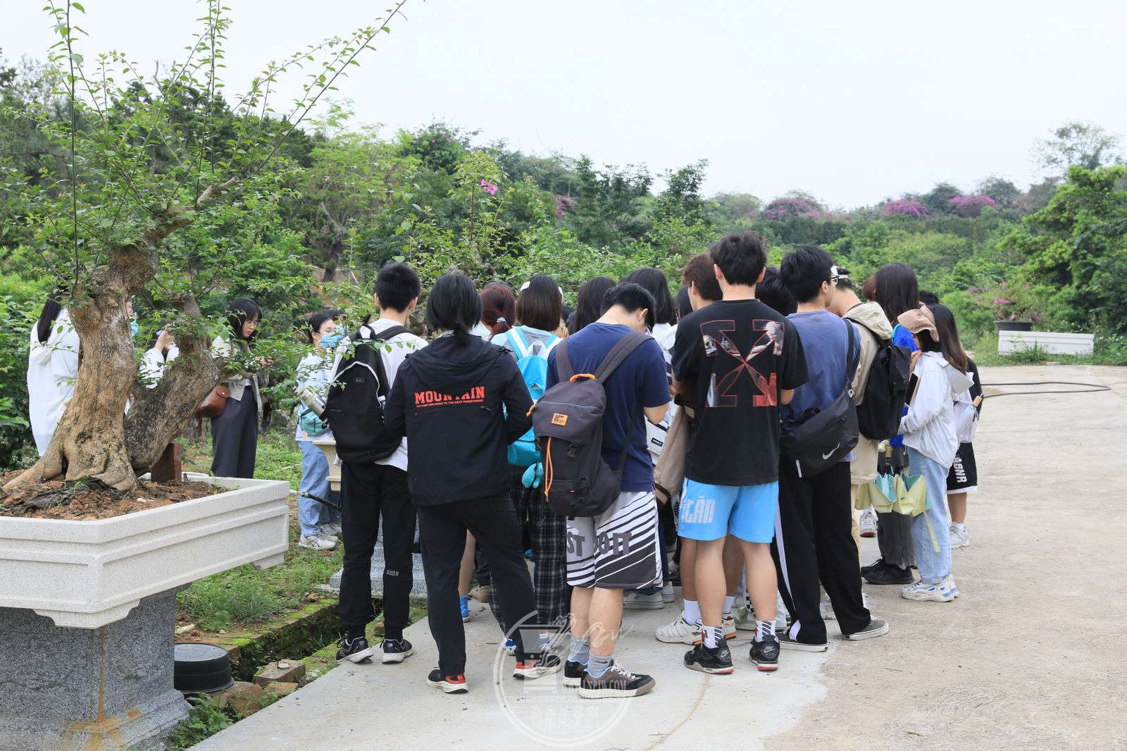 11BG1A4076.jpg