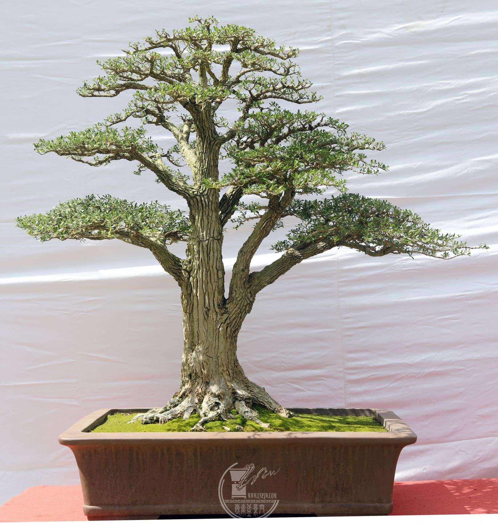 28Э                  绪ï                  105128         .jpg