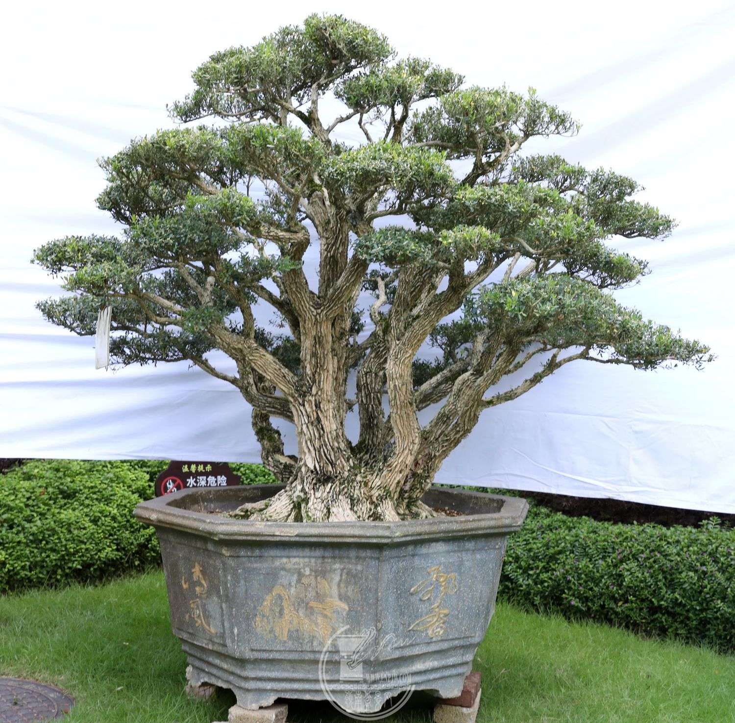 73Э         ڷ         ۷                  1.3mx1.9m     .jpg