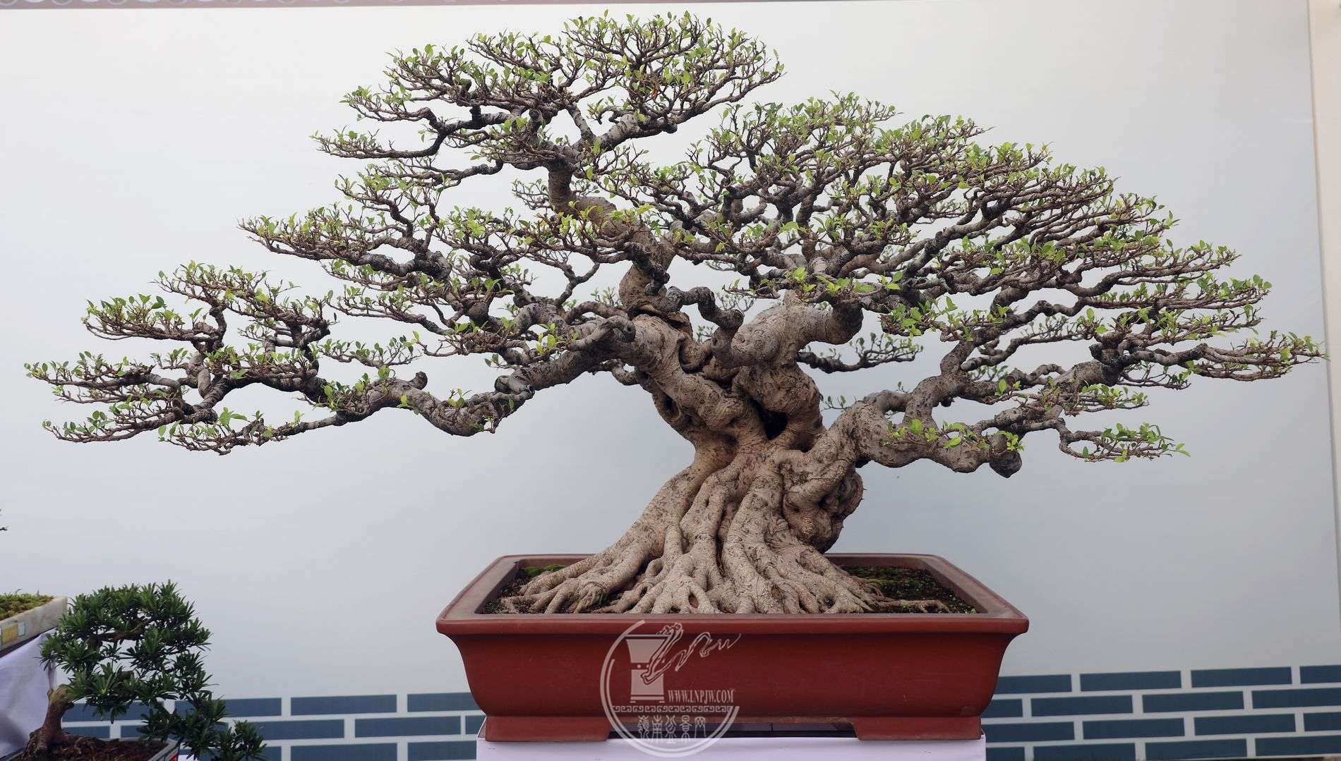 2ݸ辰Э                     ź       ڷ250cm,160cm.jpg