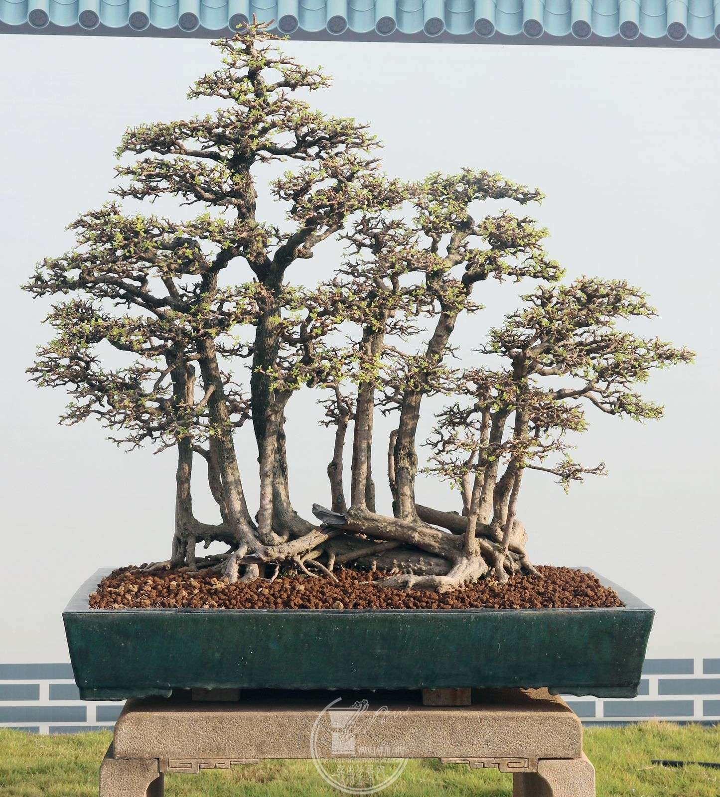 53ݸ辰Э                     Сֵ       120cm73cm,.jpg