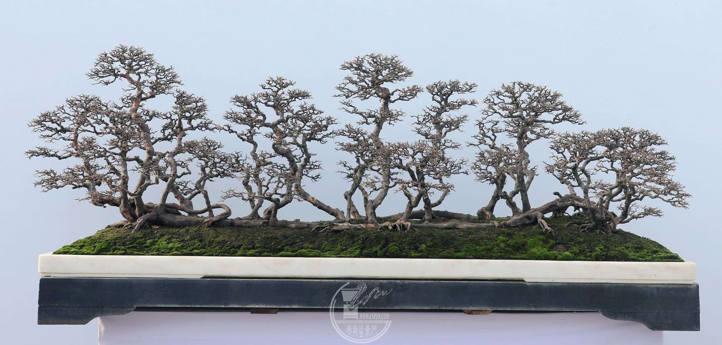 58ݸ辰Э       Ȩ       ȸ÷       ÷       228cm90cm,.jpg