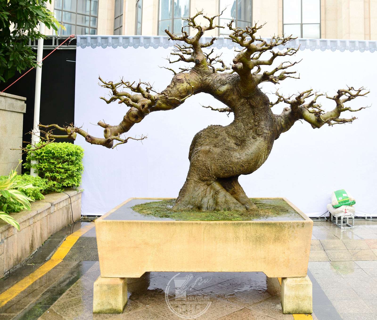 308 չߣ      ֣˼    180X146X200 cm  .jpg