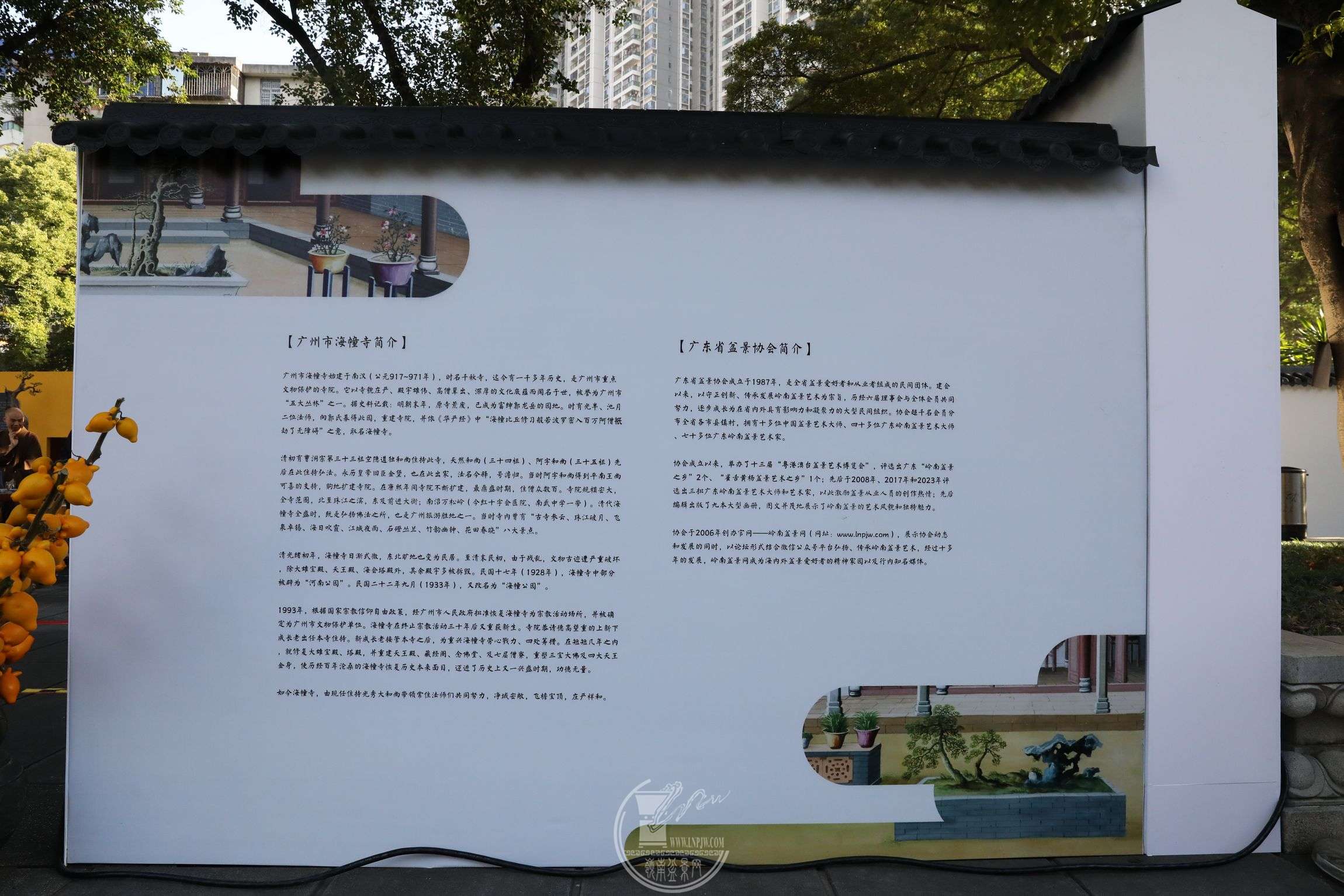 6BG1A3691.jpg