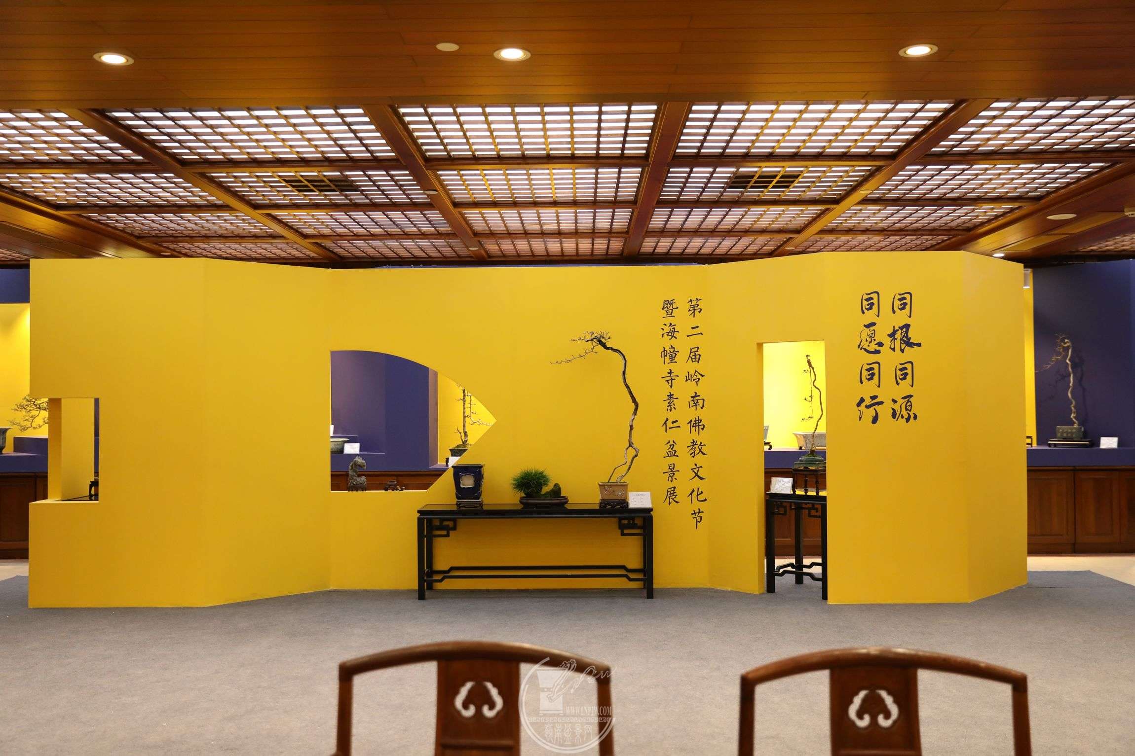 10BG1A3644.jpg