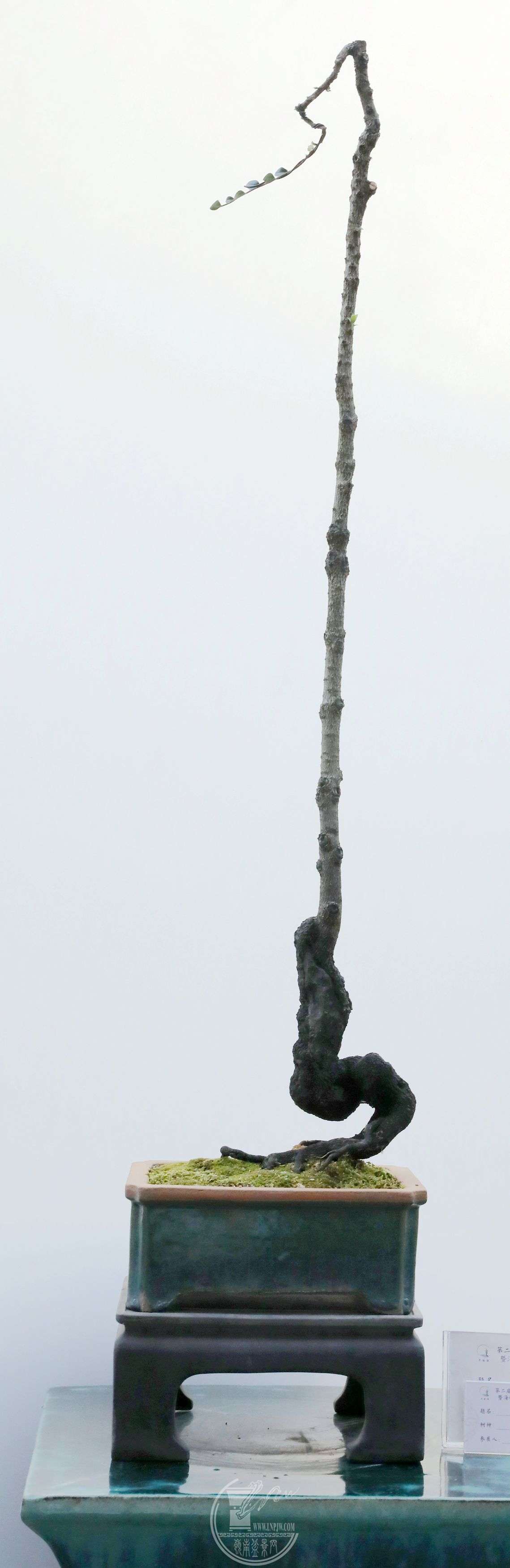 BG1A4334.jpg