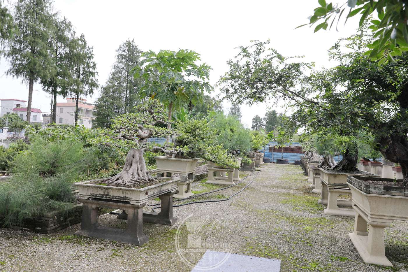 BG1A7514.jpg