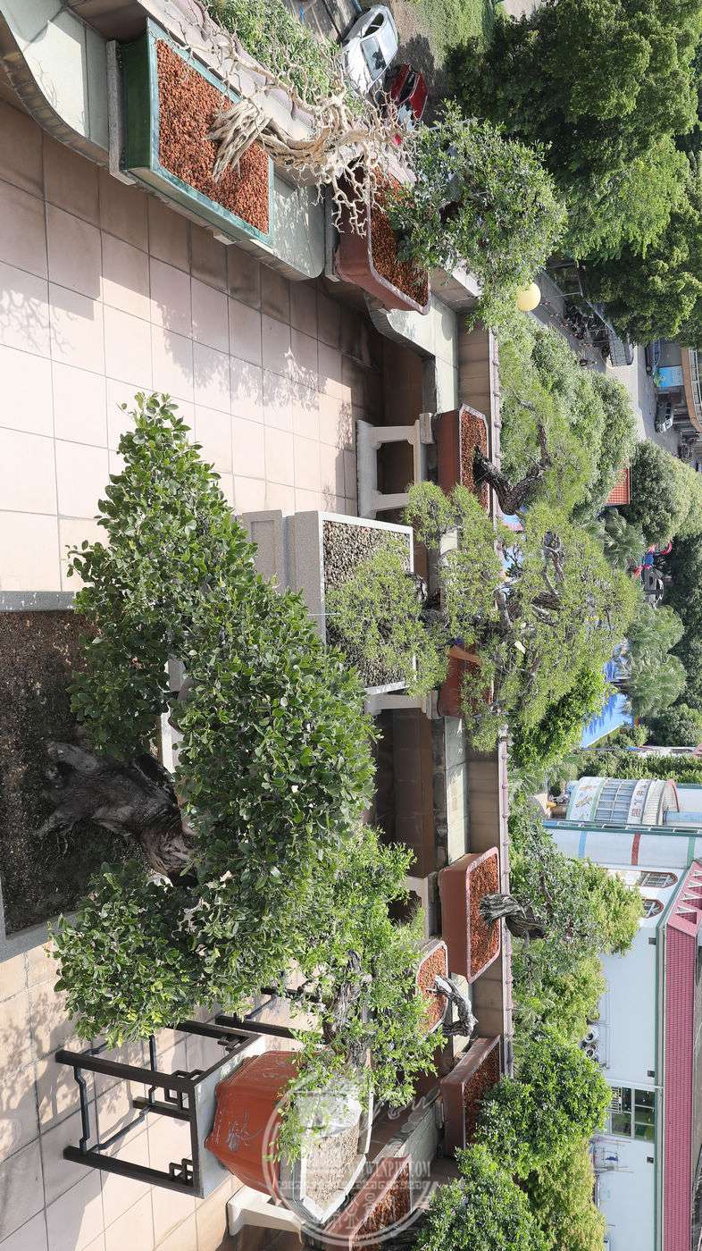 BG1A7562.jpg