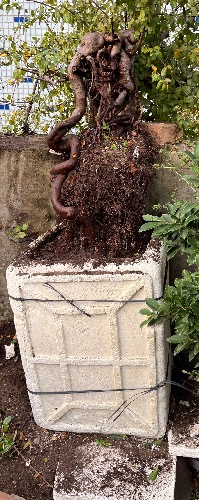IMG_1500.jpeg
