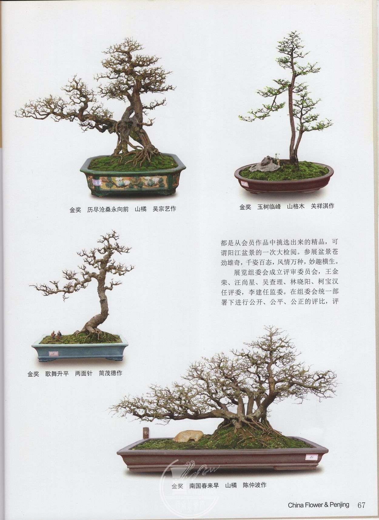 img022.jpg