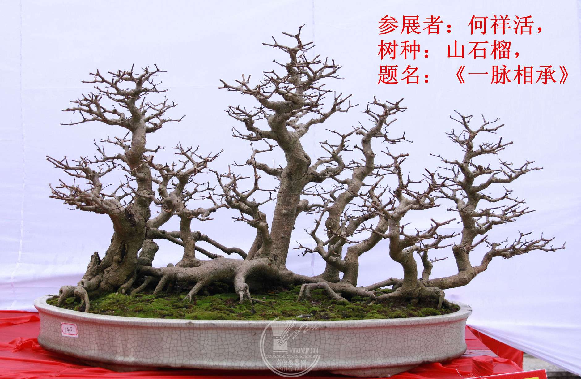 2File0006060.jpg