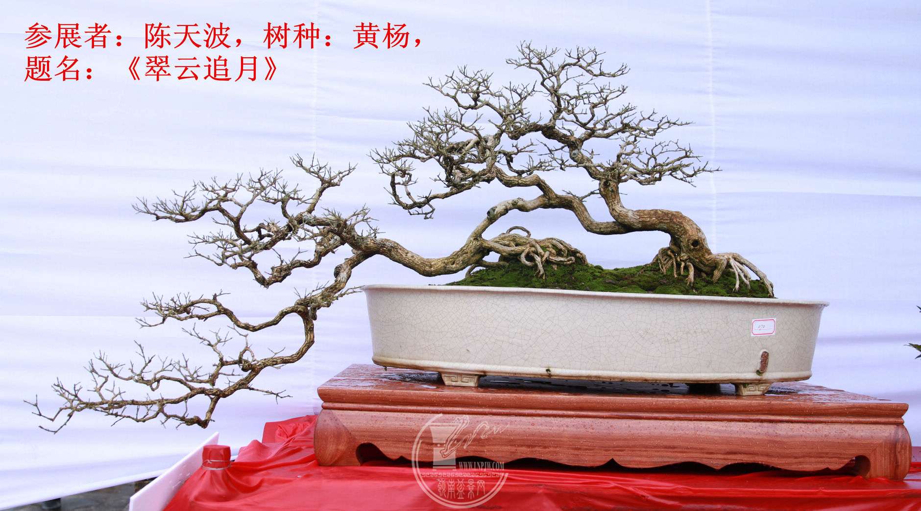 5File0006063.jpg