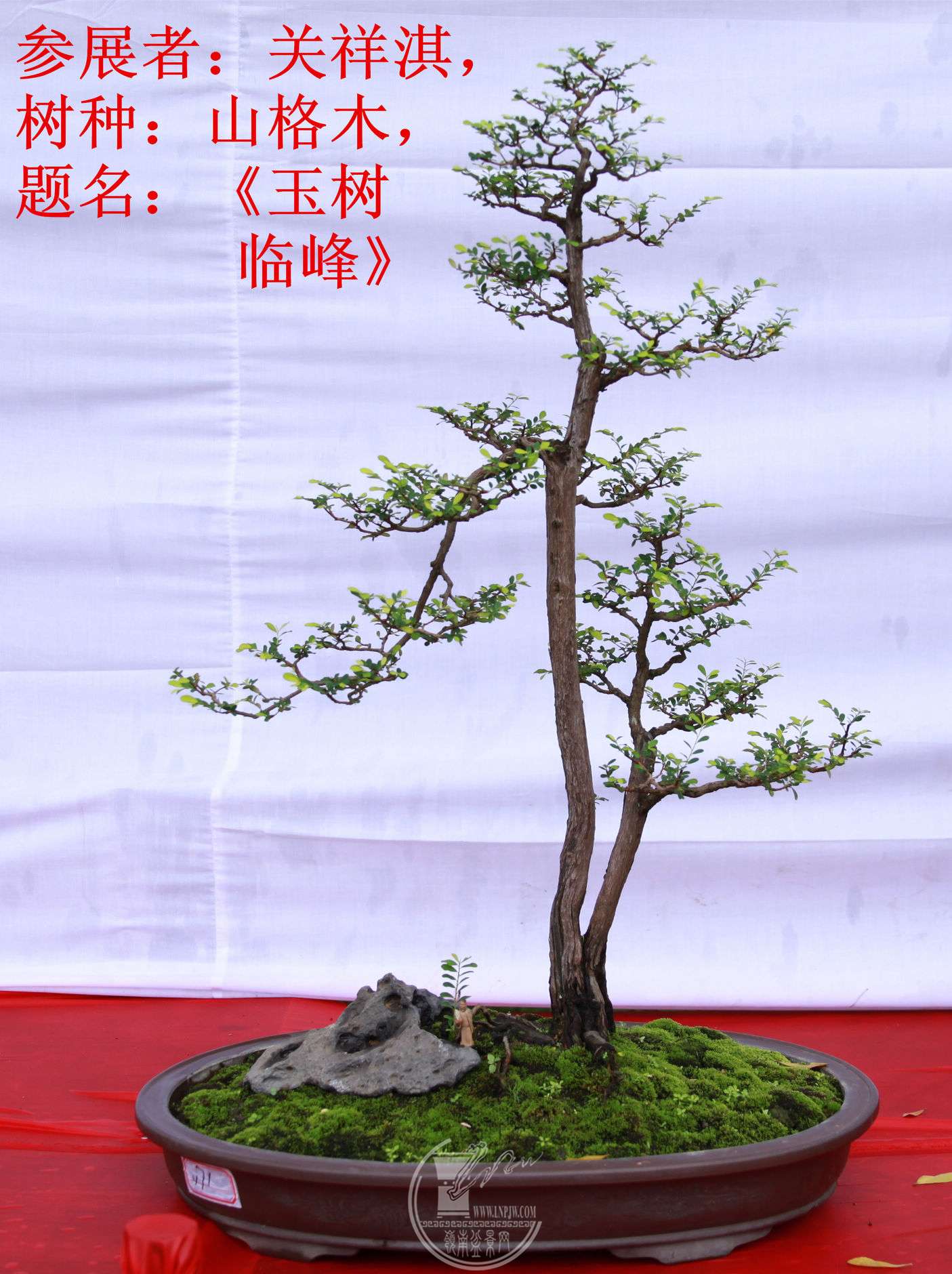 7File0006376.jpg
