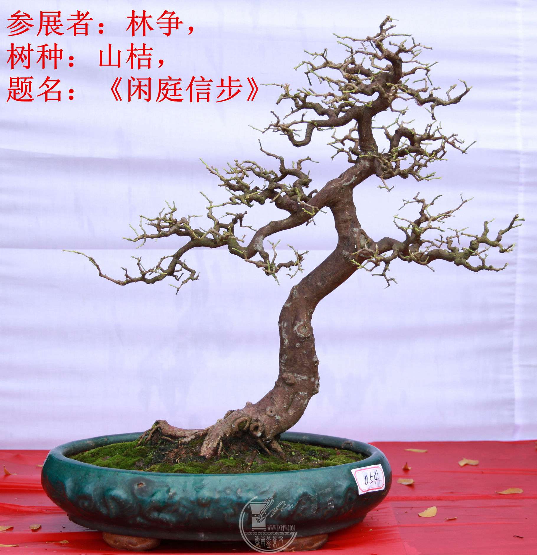 8File0006377.jpg