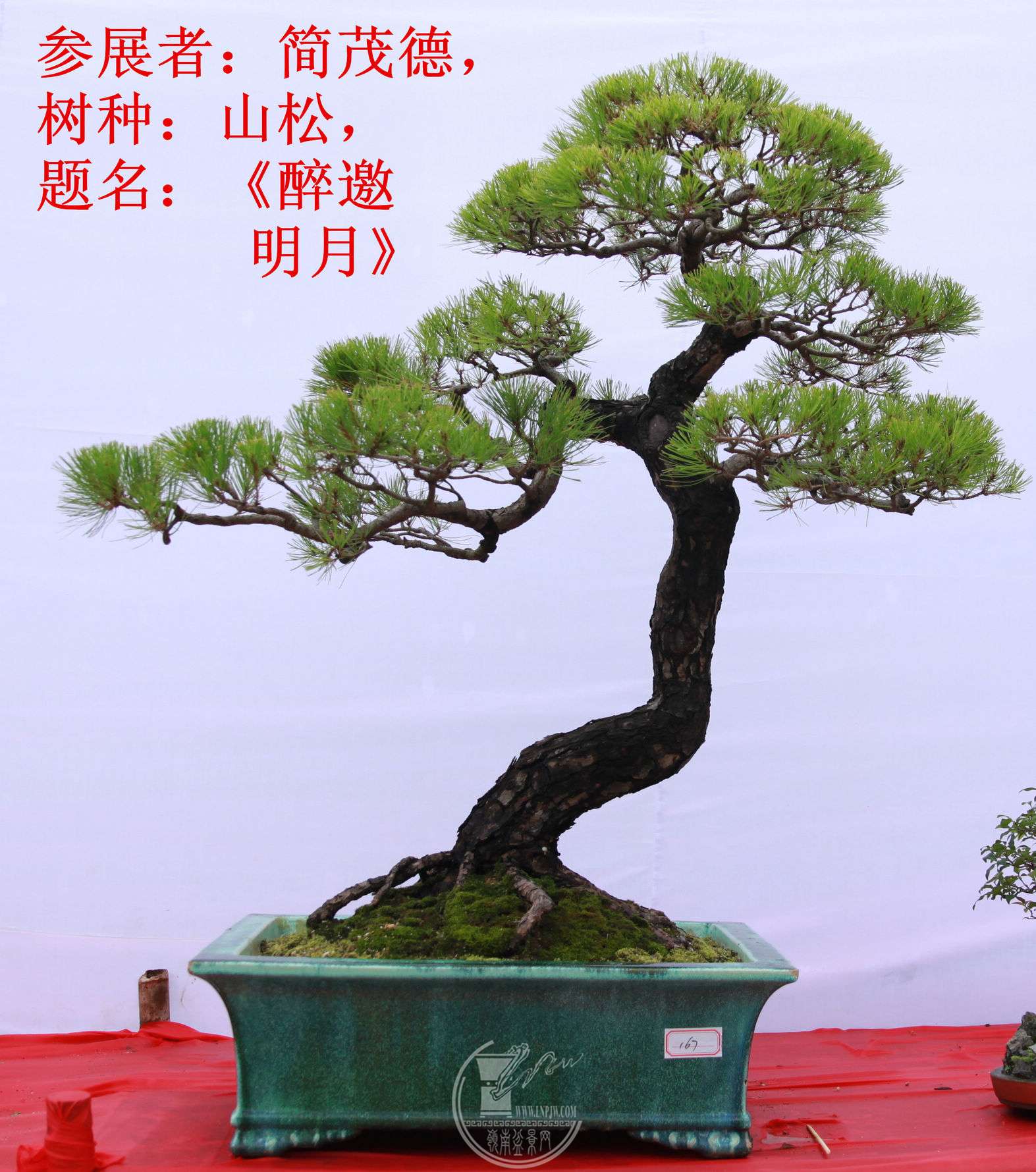 9File0006378.jpg