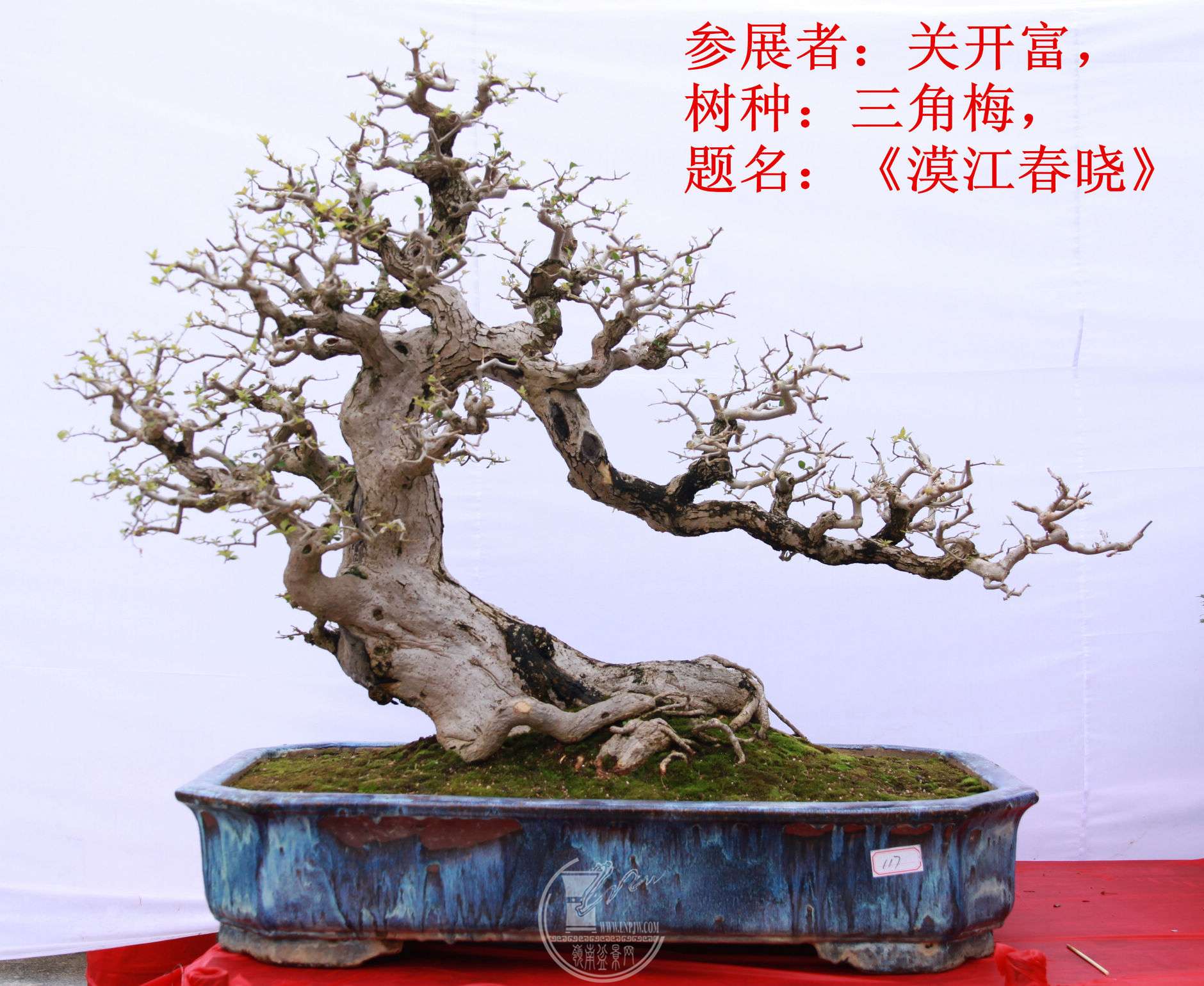 11File0006380.jpg