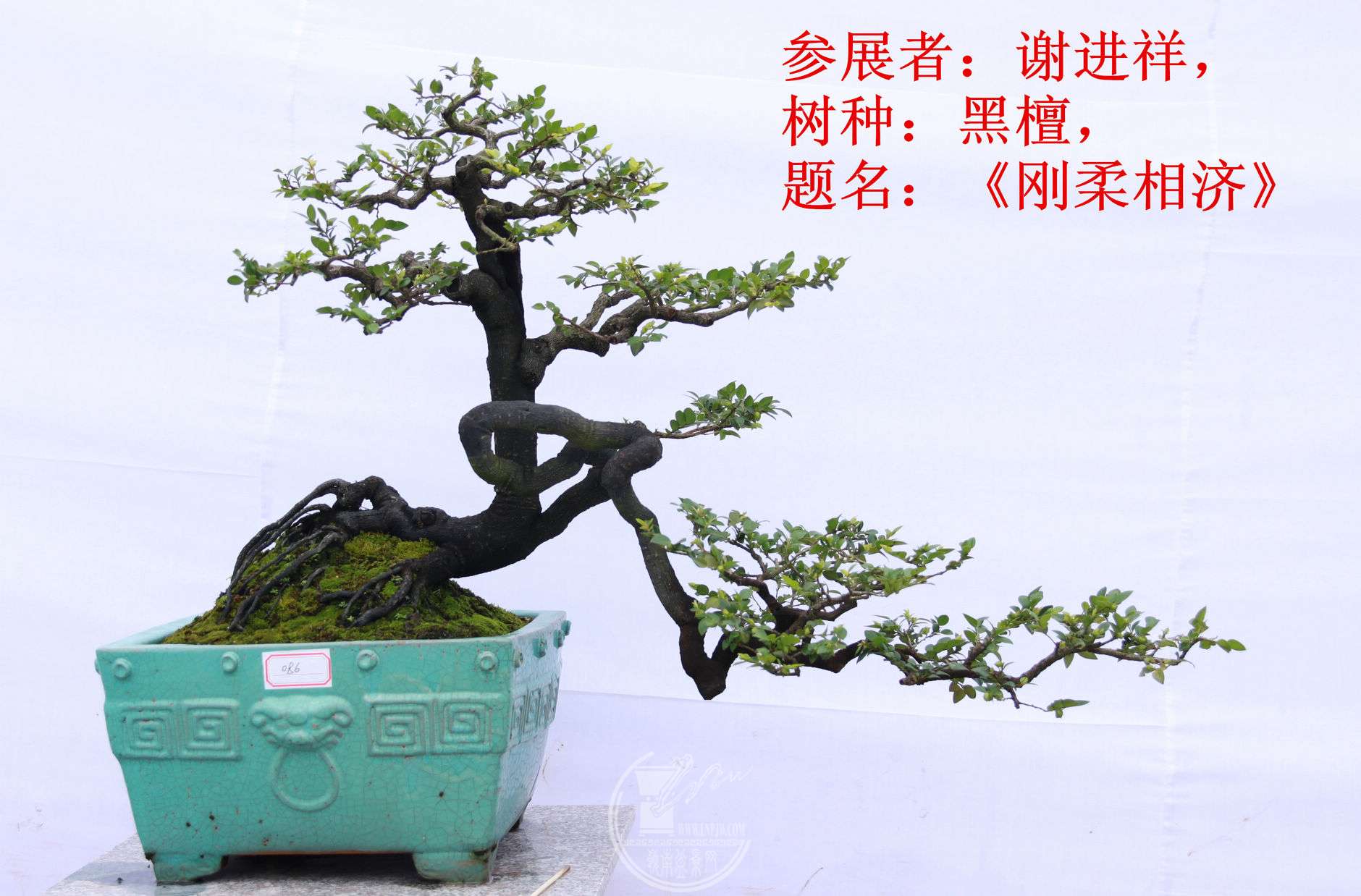 12File0006381.jpg