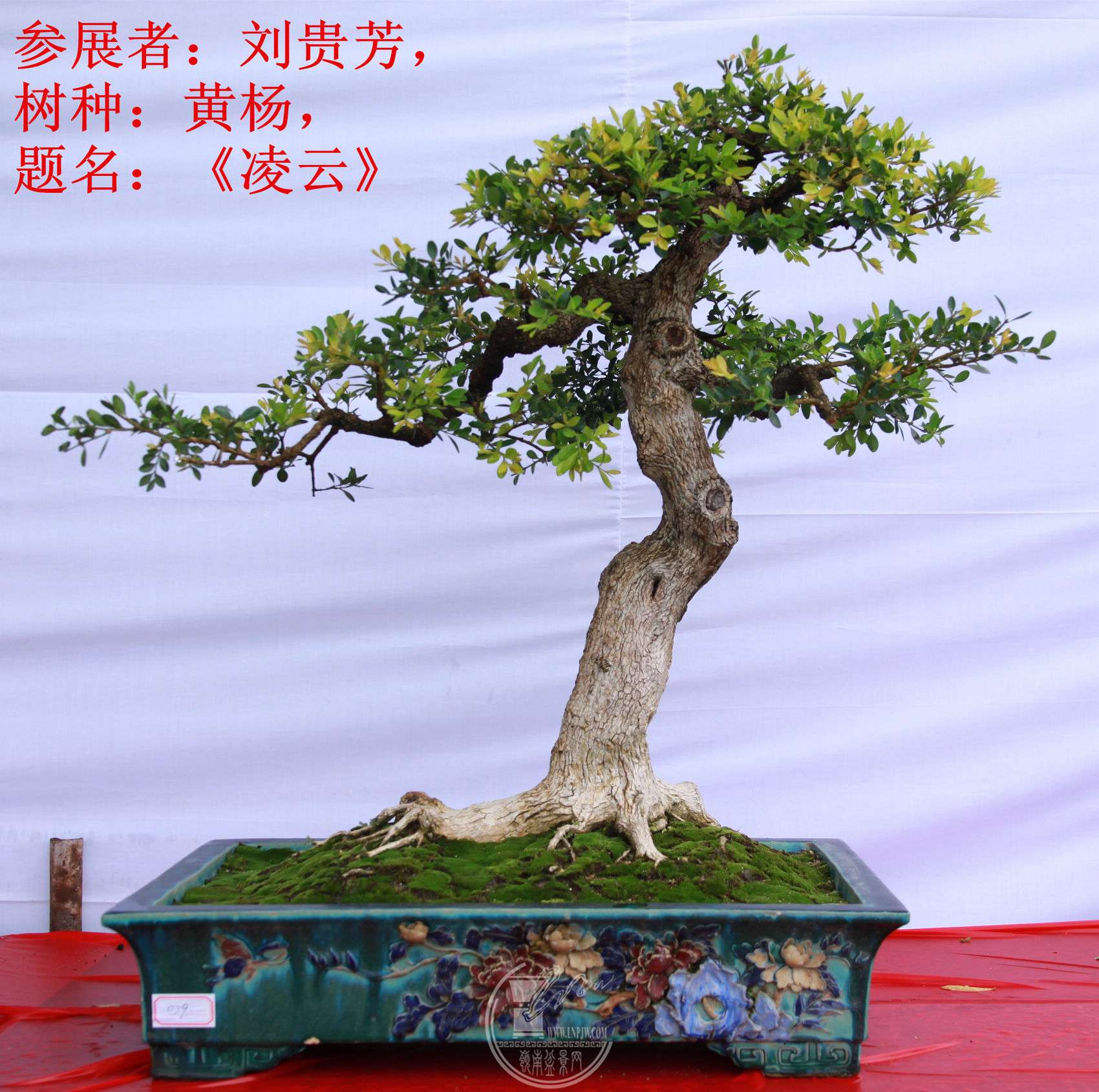 14File0006383.jpg