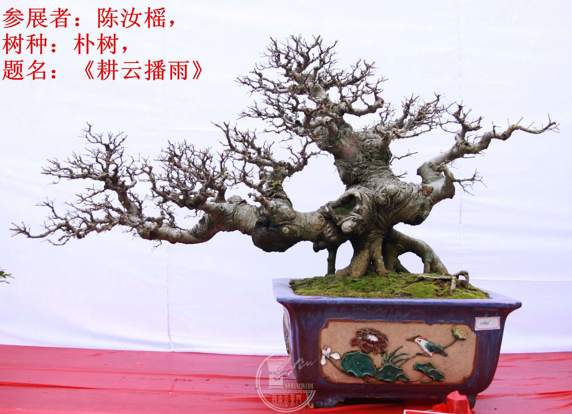 17File0006387.jpg
