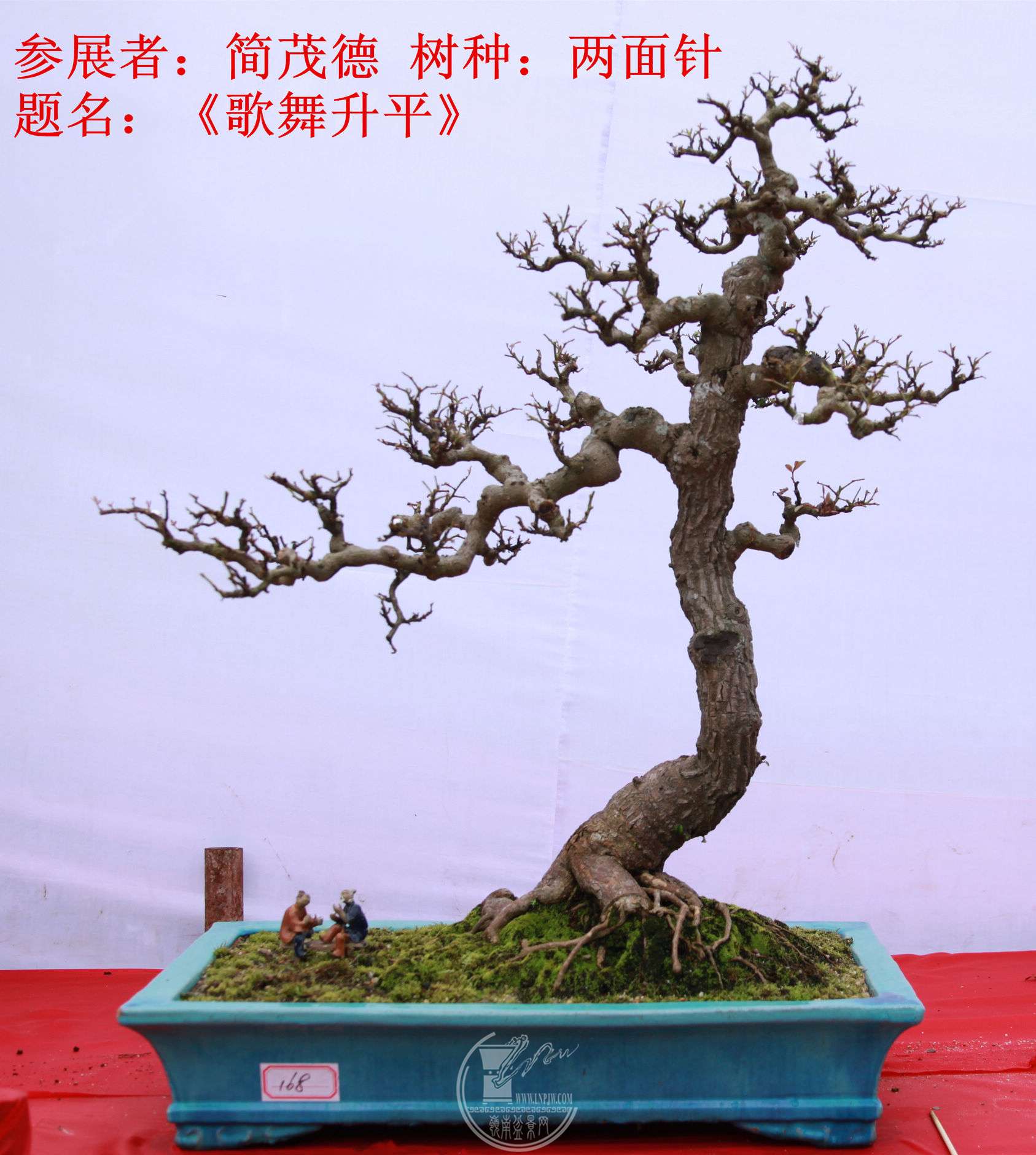 20File0006401.jpg