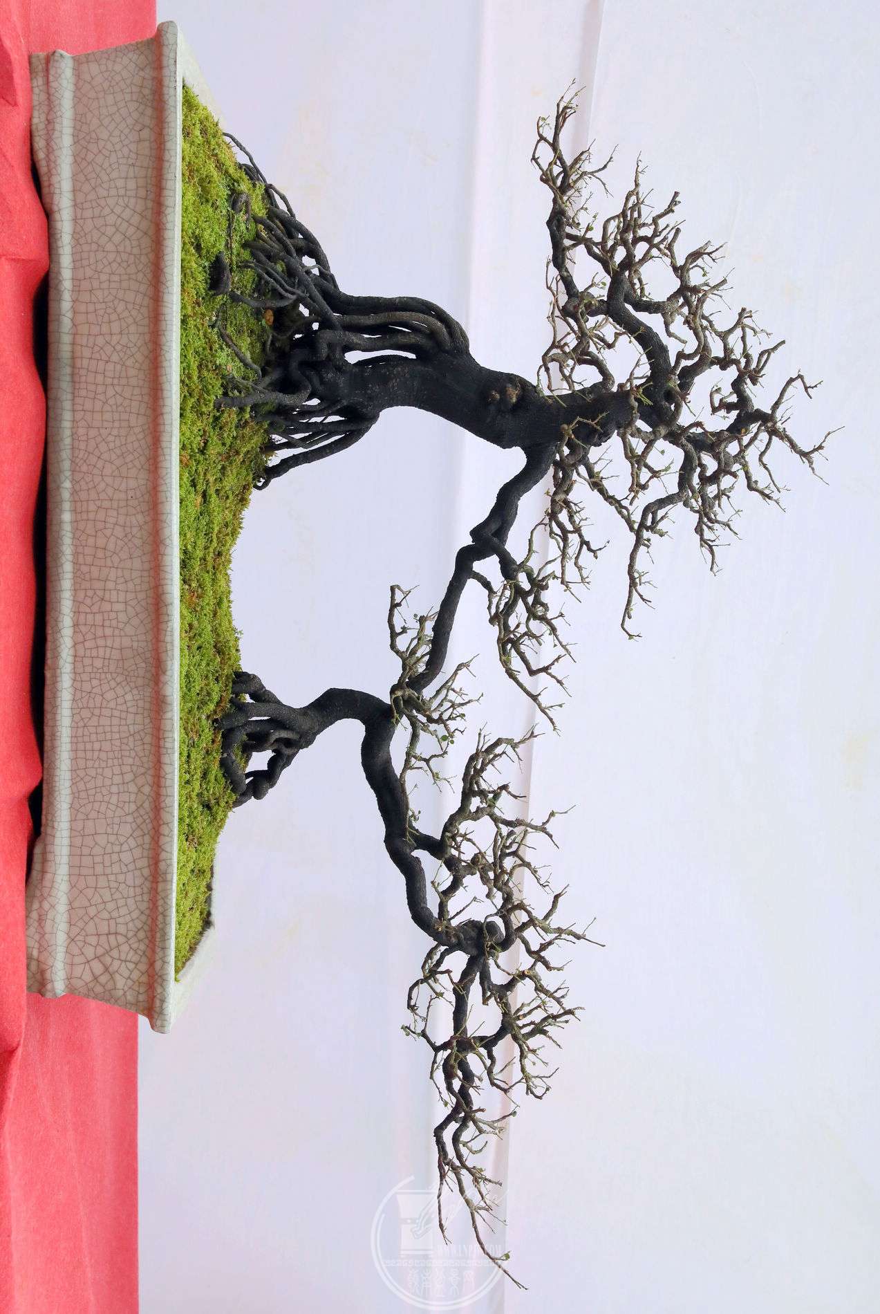 130ؿ    ͬ    ڹǲ    110X50    BG1A9248.jpg