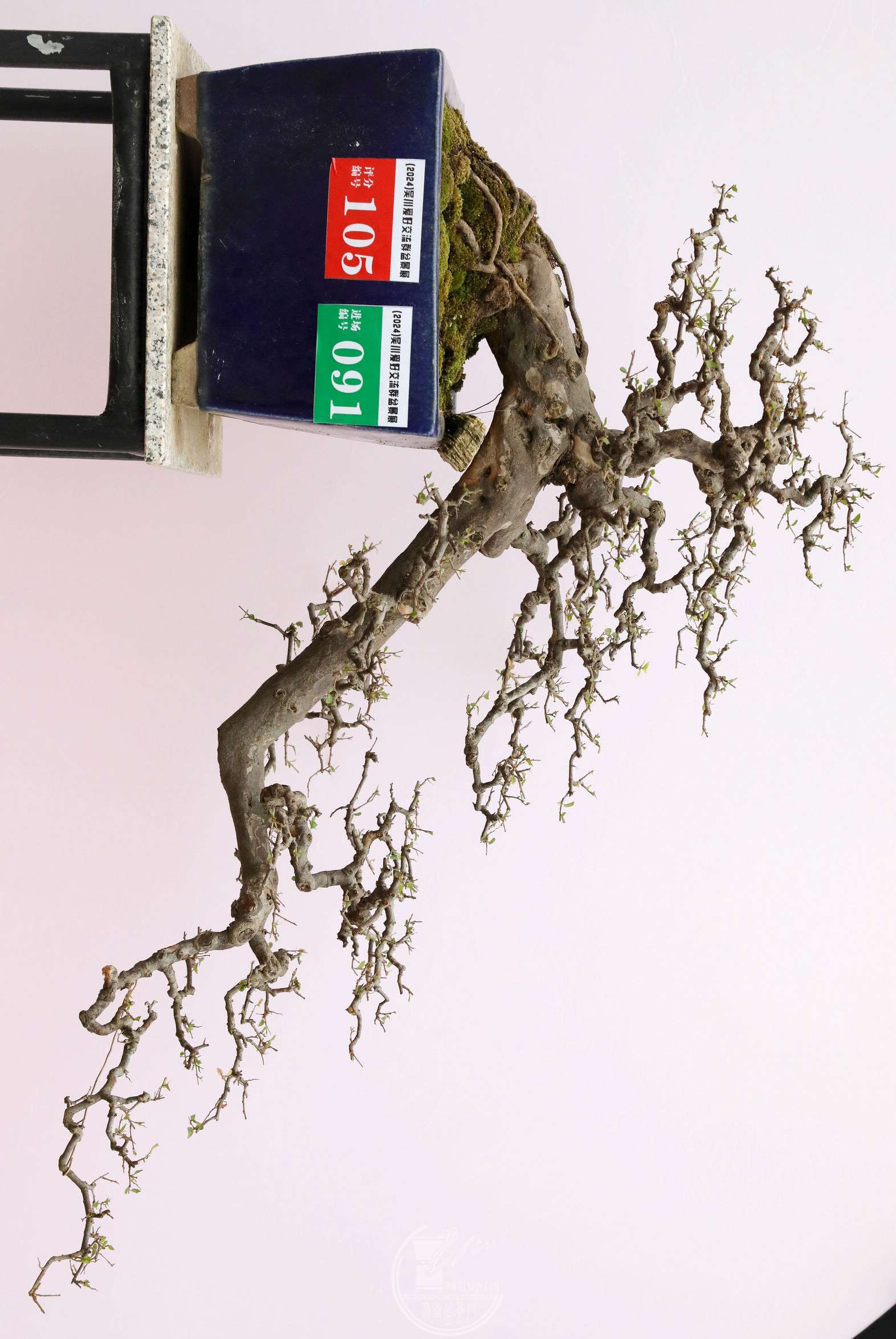 105 ȸ÷ BG1A9924.jpg