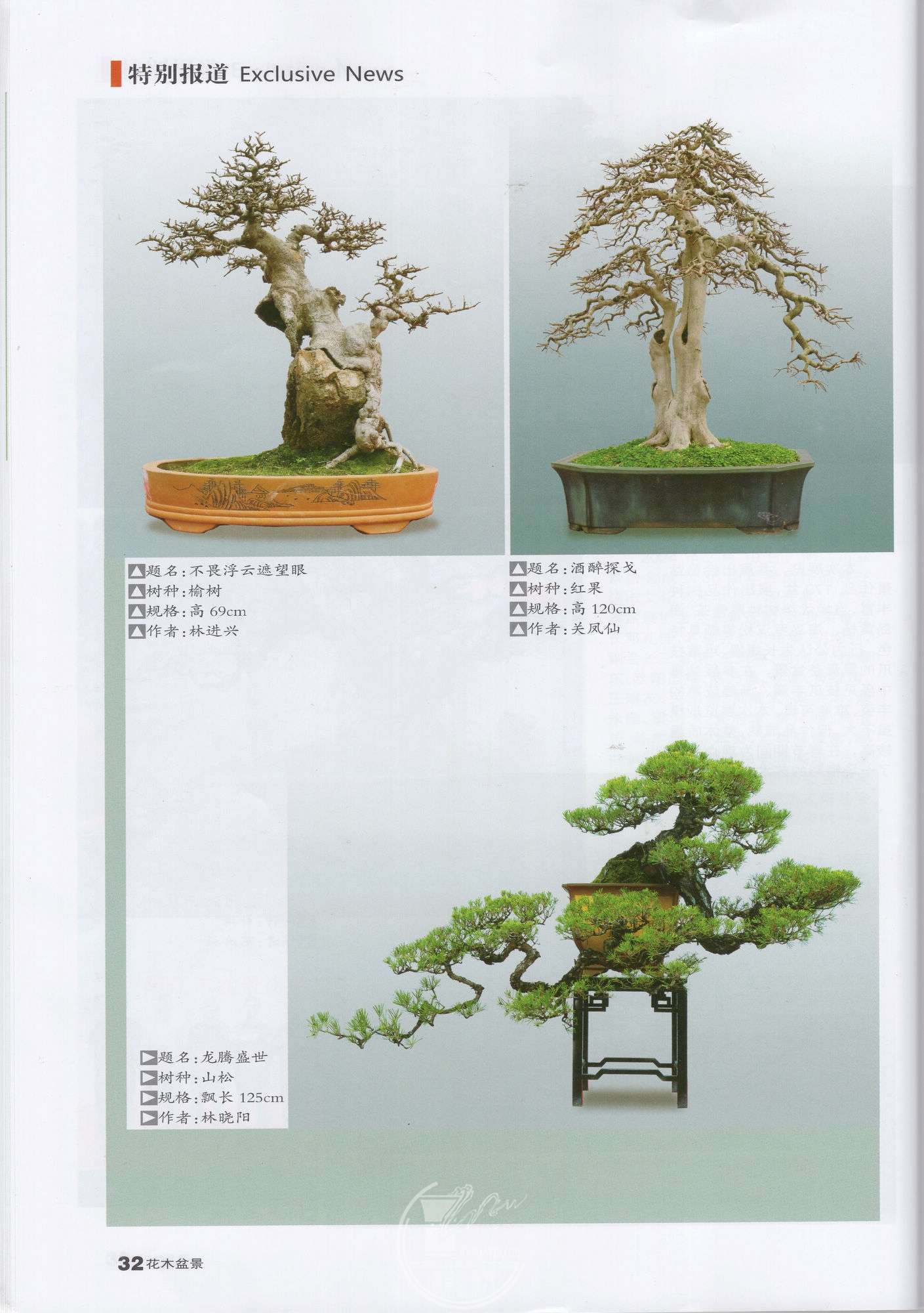 img090.jpg