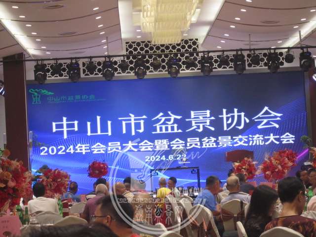 IMG_5192.JPG