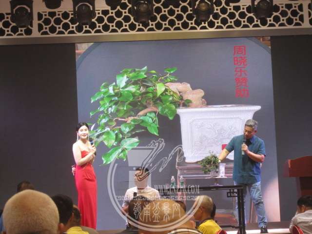 IMG_5218.JPG