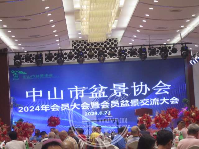 IMG_5193.JPG