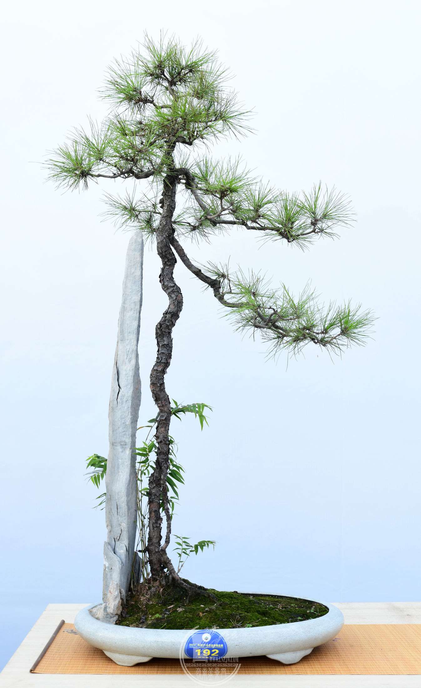 192ǿ       Ͷʴ       ɽ   2023辰Ʒչͭ.jpg