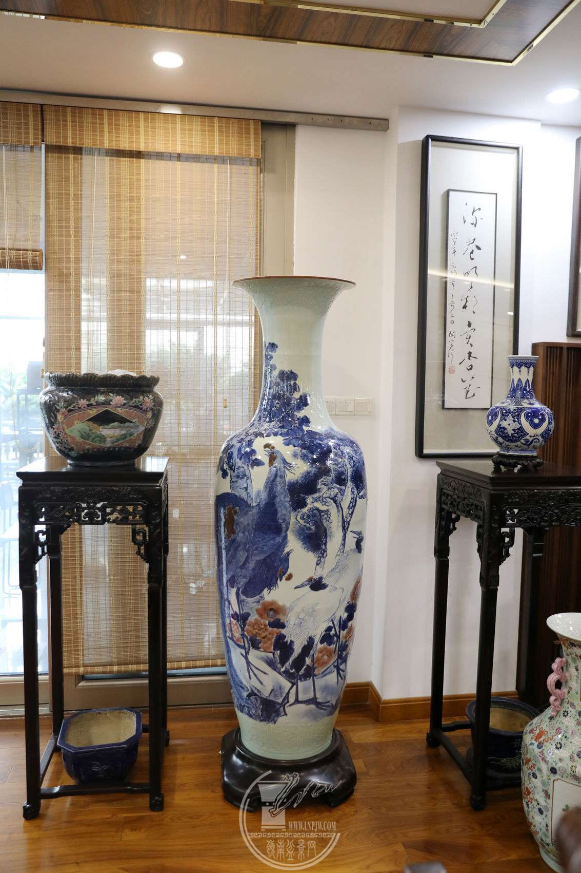 15BG1A5908.jpg