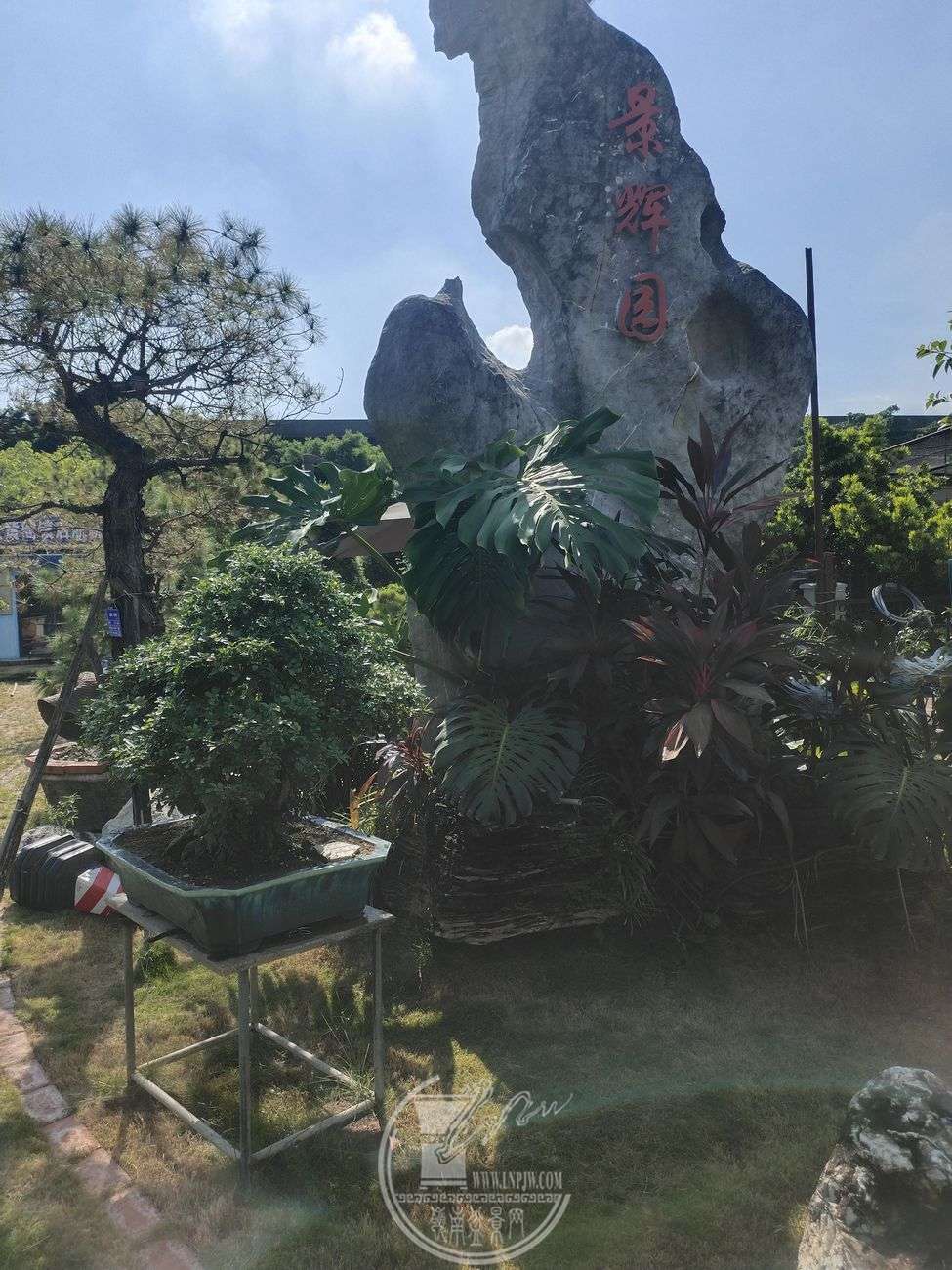 ΢ͼƬ_20240902045052.jpg