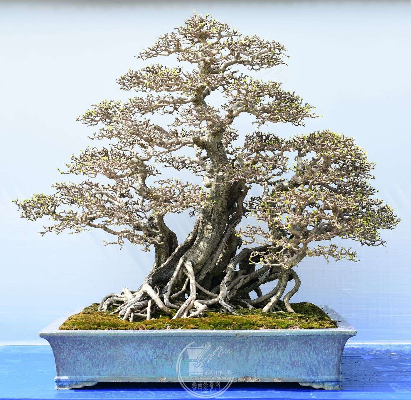 14396ݸɽ辰Э     л          ˼     12080120cm     .jpg