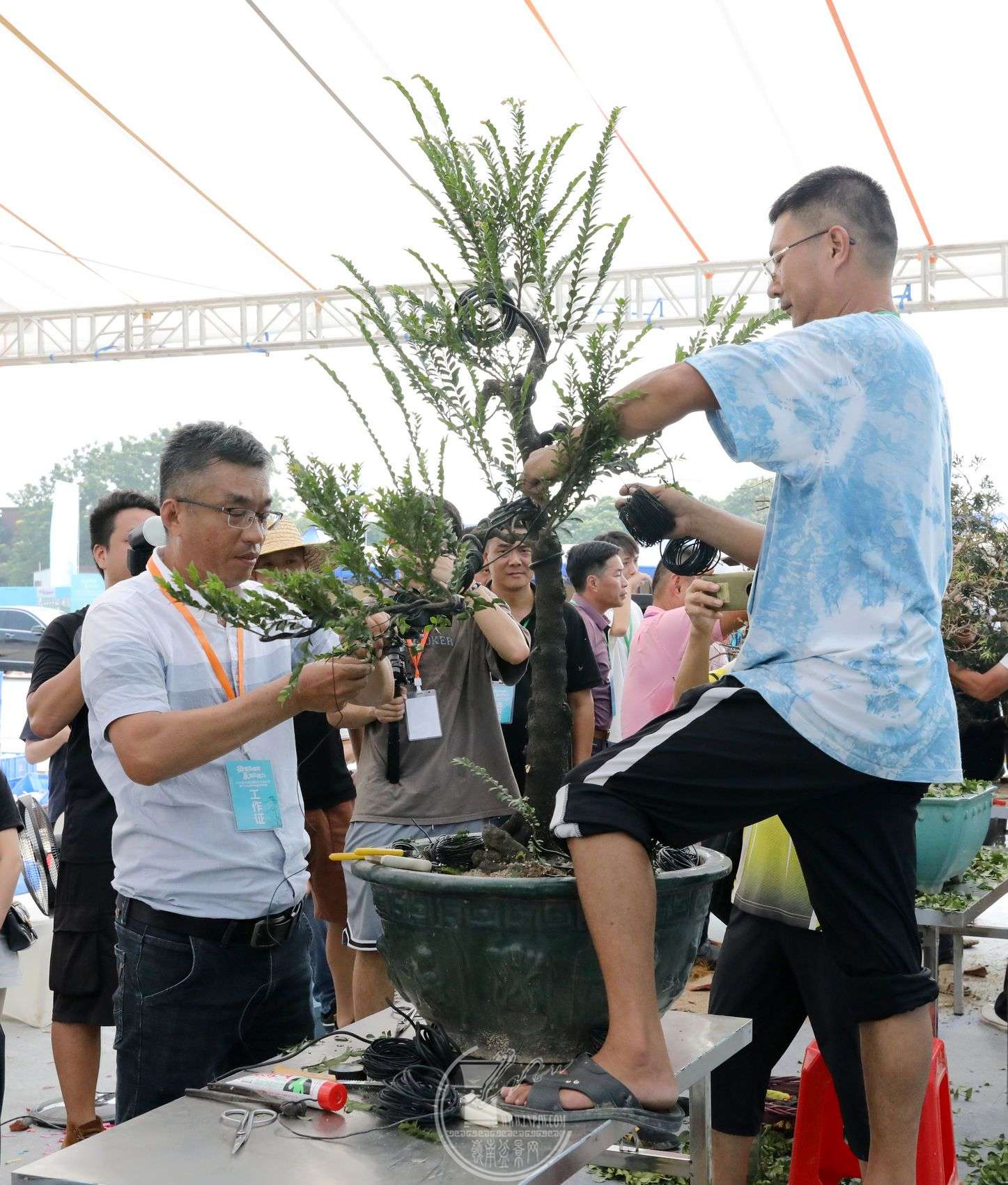 23BG1A7940.jpg