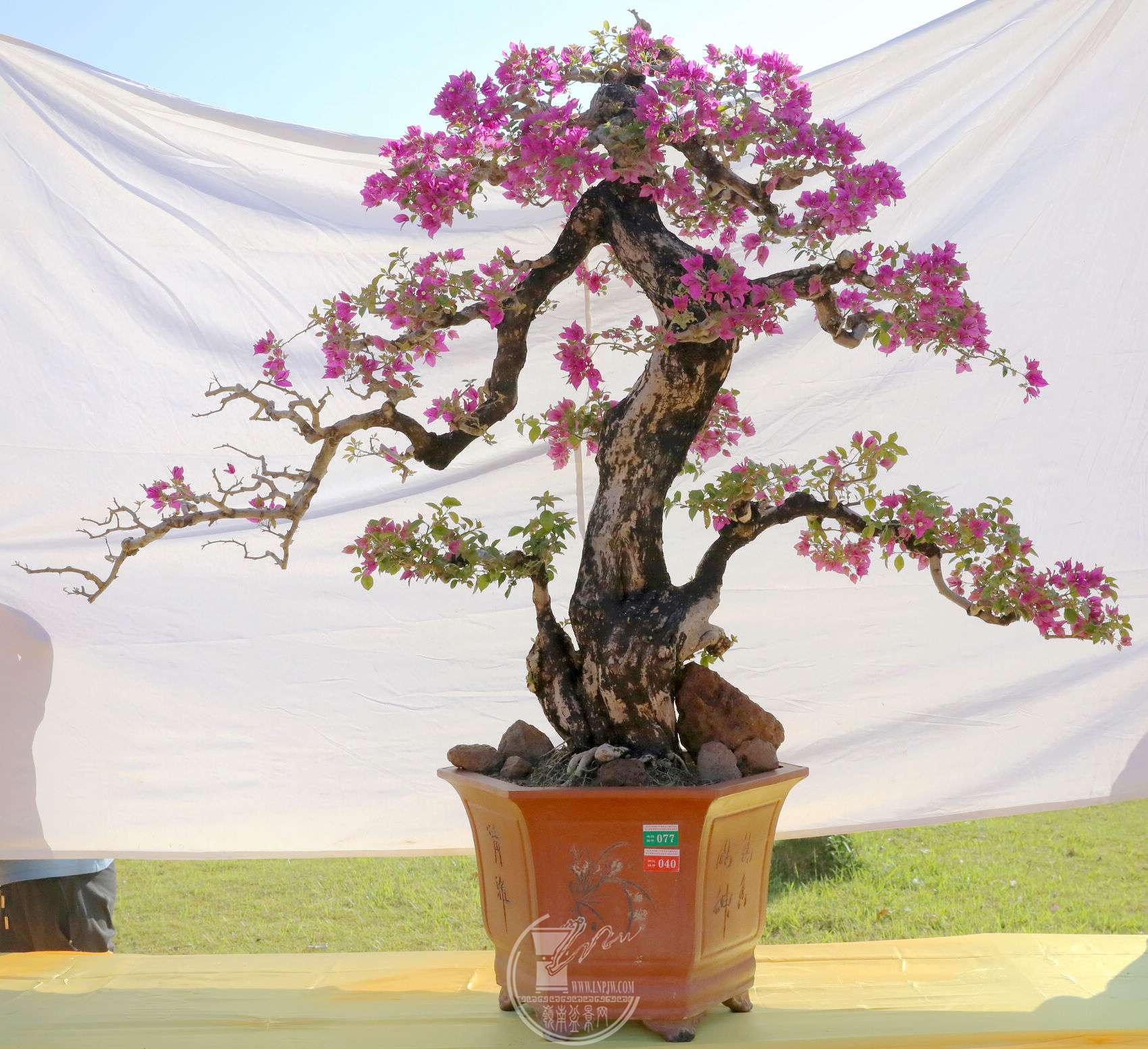 40    ÷           150  Ʈ200          BG1A8483.jpg