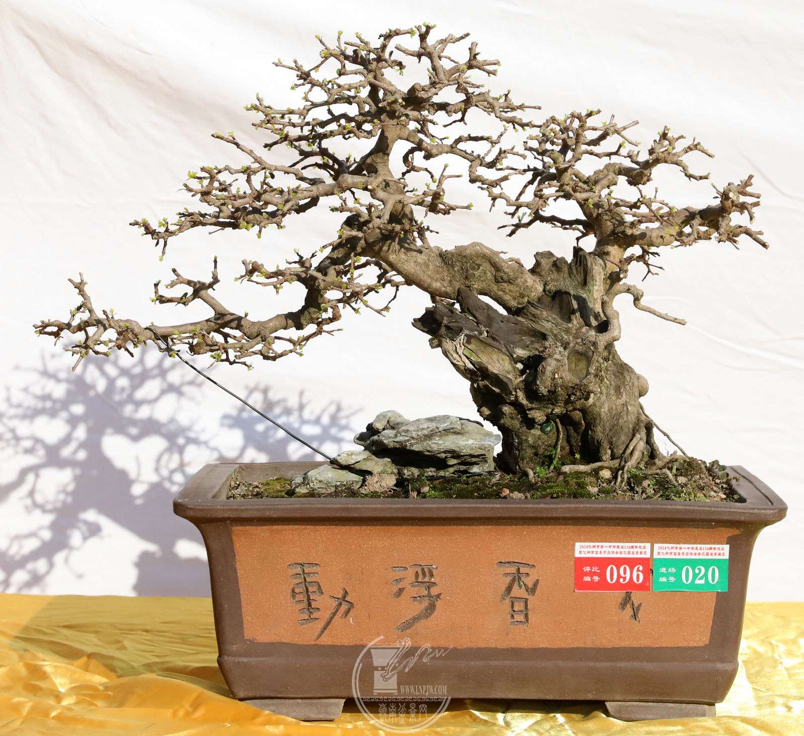 96                       43        BG1A8601.jpg