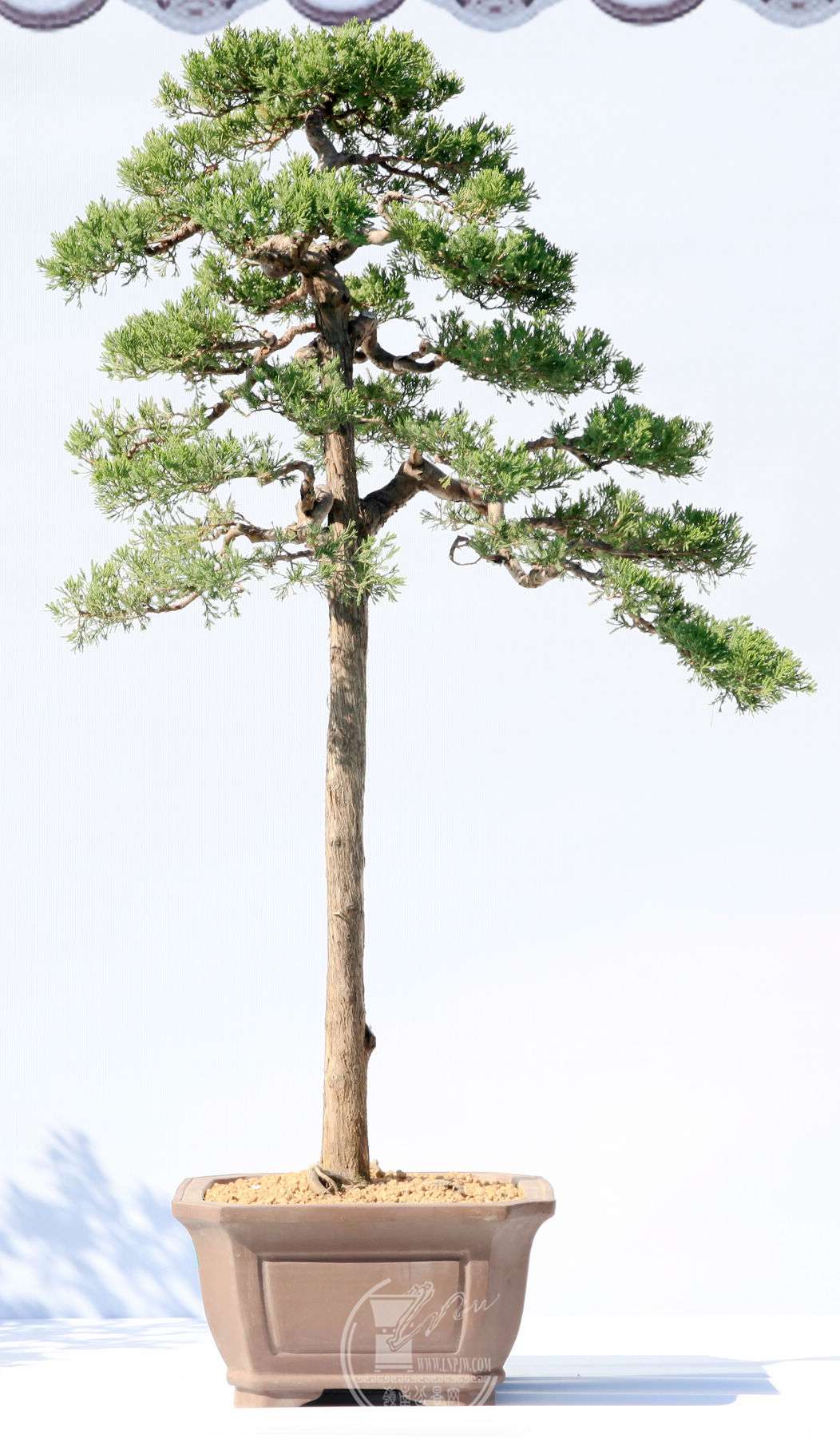 չλСЭ    չߣտ              Ƿ    ֣   .jpg